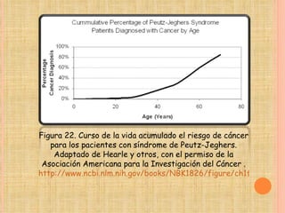 Figura 22. Curso de la vida acumulado el riesgo de cáncer para los pacientes con síndrome de Peutz-Jeghers. Adaptado de Hearle y otros, con el permiso de la Asociación Americana para la Investigación del Cáncer . http://www.ncbi.nlm.nih.gov/books/NBK1826/figure/ch1famcan.F22/?report=objectonly 