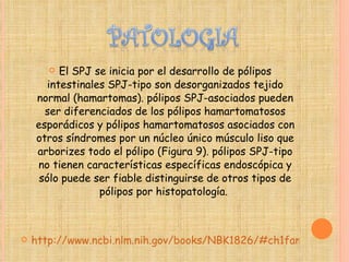 El SPJ se inicia por el desarrollo de pólipos intestinales SPJ-tipo son desorganizados tejido normal (hamartomas). pólipos SPJ-asociados pueden ser diferenciados de los pólipos hamartomatosos esporádicos y pólipos hamartomatosos asociados con otros síndromes por un núcleo único músculo liso que arborizes todo el pólipo (Figura 9). pólipos SPJ-tipo no tienen características específicas endoscópica y sólo puede ser fiable distinguirse de otros tipos de pólipos por histopatología.  http://www.ncbi.nlm.nih.gov/books/NBK1826/#ch1famcan.Pathology 