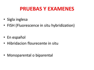 PRUEBAS Y EXAMENES
• Sigla inglesa
• FISH (Fluorescence in situ hybridization)
• En español
• Hibridacion flourecente in situ
• Monoparental o biparental
 
