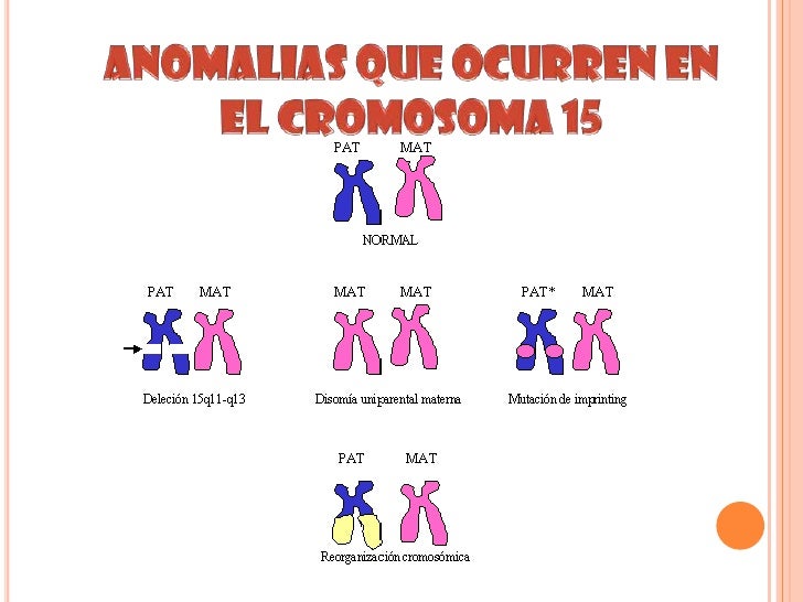 Imagen relacionada