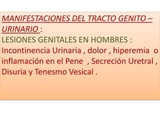 MANIFESTACIONES DEL TRACTO GENITO –
MANIFESTACIONES DEL TRACTO GENITO
URINARIO : :
– URINARIO
LESIONES GENITALES EN HOMBRES :
Incontinencia Urinaria , dolor , hiperemia o
inflamación en el Pene , Secreción Uretral ,
Disuria y Tenesmo Vesical .
 