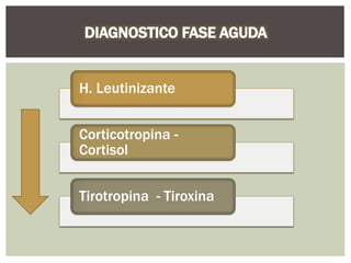 H. Leutinizante
Corticotropina -
Cortisol
Tirotropina - Tiroxina
 