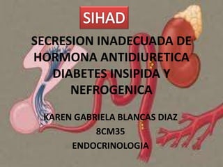 SECRESION INADECUADA DE
HORMONA ANTIDIURETICA
DIABETES INSIPIDA Y
NEFROGENICA
KAREN GABRIELA BLANCAS DIAZ
8CM35
ENDOCRINOLOGIA

 