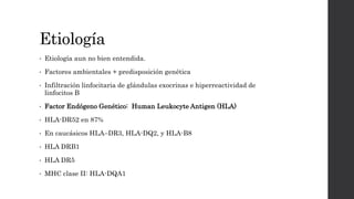 Etiología
• Etiología aun no bien entendida.
• Factores ambientales + predisposición genética
• Infiltración linfocitaria de glándulas exocrinas e hiperreactividad de
linfocitos B
• Factor Endógeno Genético: Human Leukocyte Antigen (HLA)
• HLA-DR52 en 87%
• En caucásicos HLA–DR3, HLA-DQ2, y HLA-B8
• HLA DRB1
• HLA DR5
• MHC clase II: HLA-DQA1
 