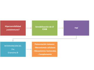 Hipersensibilidad
¿autoinmune?
Sensibilización de LT
CD08
TNF
INTERVENCION DE:
Fas
Granzima B
Potenciación inmune:
- Mecanismos celulares
- Mecanismos humorales
- Complemento
 