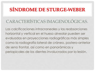 SÍNDROME DE STURGE-WEBER

CARACTERÍSTICAS IMAGENOLÓGICAS.
Las calcificaciones intracraneales y las reabsorciones
horizontal y vertical en el hueso alveolar pueden ser
evaluadas en proyecciones radiográficas más simples
como la radiografía lateral de cráneo, postero-anterior
de seno frontal, así como en panorámicas y
periapicales de los dientes involucrados por la lesión.
 