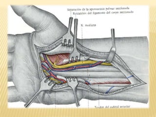 Clasificación del STC según su gravedadLeve: alteraciones sensoriales prolongadas, pero con respuestas motoras normales.Moderado: alteraciones  motoras prolongadas.Severo: la amplitud motora esta  reducida por gran cantidad  de dolor 