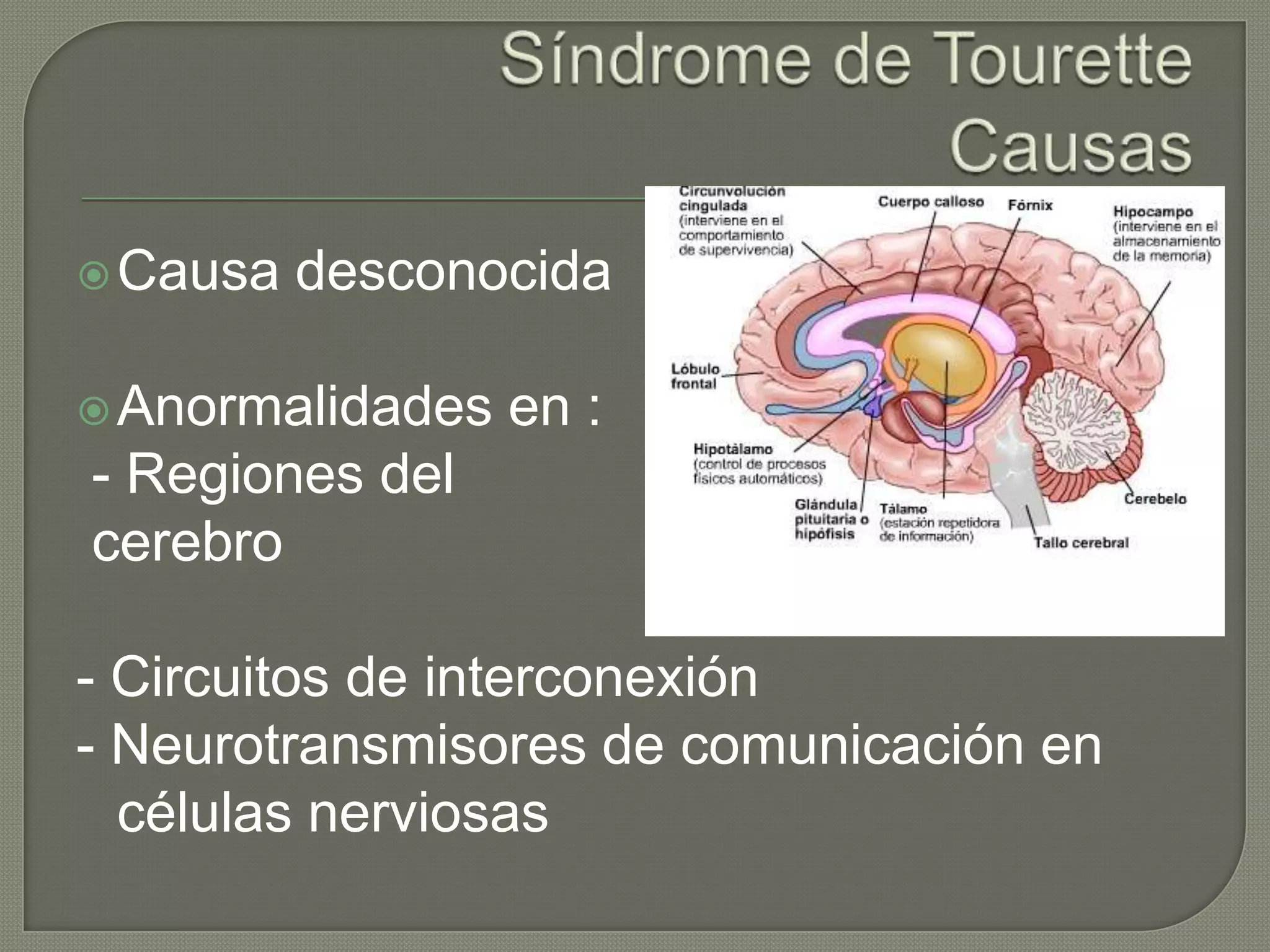  Causa   desconocida

 Anormalidades   en :
- Regiones del
cerebro

- Circuitos de interconexión
- Neurotransmisores de comunicación en
  células nerviosas
 