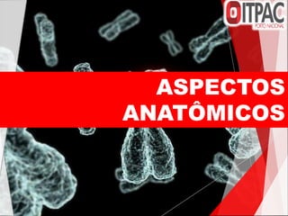 ASPECTOS
ANATÔMICOS
 