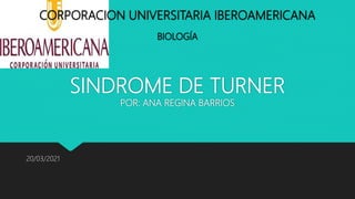 CORPORACION UNIVERSITARIA IBEROAMERICANA
BIOLOGÍA
SINDROME DE TURNER
POR: ANA REGINA BARRIOS
20/03/2021
 