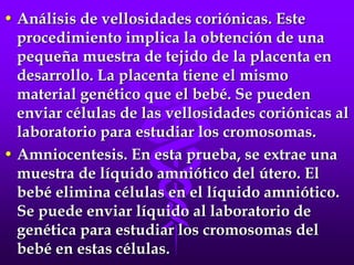 • Análisis de vellosidades coriónicas. Este
procedimiento implica la obtención de una
pequeña muestra de tejido de la placenta en
desarrollo. La placenta tiene el mismo
material genético que el bebé. Se pueden
enviar células de las vellosidades coriónicas al
laboratorio para estudiar los cromosomas.
• Amniocentesis. En esta prueba, se extrae una
muestra de líquido amniótico del útero. El
bebé elimina células en el líquido amniótico.
Se puede enviar líquido al laboratorio de
genética para estudiar los cromosomas del
bebé en estas células.
 