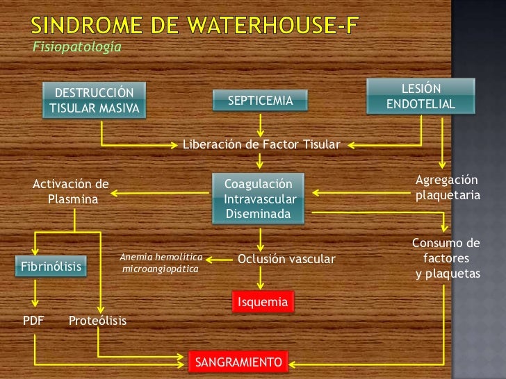 Sindrome de Waterhouse Friderichsen