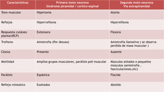 Características Primera moto neurona
Síndrome piramidal / cortico-espinal
Segunda moto neurona
Vía extrapiramidal
Tono muscular Hipertonia Atonía
Reflejos Hiperrreflexia Hiporreflexia
Respuesta cutáneo
plantar(RCP)
Extensora Flexora
Trofismo Amiotrofia (Por desuso) Amiotrofia llamativa ( se observa
perdida de masa muscular )
Clonus Presente Ausente
Motilidad Amplios grupos musculares, parálisis poli muscular Músculos aislados o pequeños
músculos (amiotrofia ,
fasciculaciones,etc)
Parálisis Espástica Flacida
Reflejo miotatico Exaltados Abolido
 