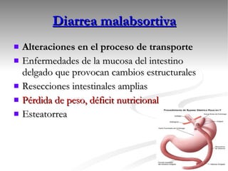 Diarrea malabsortiva Alteraciones en el proceso de transporte Enfermedades de la mucosa del intestino delgado que provocan cambios estructurales Resecciones intestinales amplias Pérdida de peso, déficit nutricional Esteatorrea 