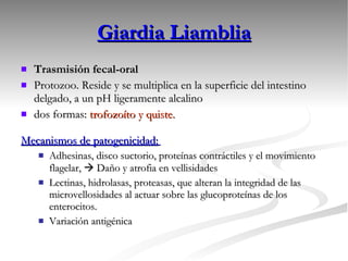 Giardia Liamblia Trasmisión fecal-oral Protozoo. Reside y se multiplica en la superficie del intestino delgado, a un pH ligeramente alcalino  dos formas:  trofozoíto y quiste. Mecanismos de patogenicidad:   Adhesinas, disco suctorio, proteínas contráctiles y el movimiento flagelar,    Daño y atrofia en vellisidades Lectinas, hidrolasas, proteasas, que alteran la integridad de las microvellosidades al actuar sobre las glucoproteínas de los enterocitos. Variación antigénica  