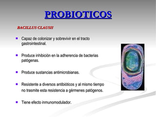 Capaz de colonizar y sobrevivir en el tracto gastrointestinal. Produce inhibición en la adherencia de bacterias patógenas. Produce sustancias antimicrobianas. Resistente a diversos antibióticos y al mismo tiempo  no trasmite esta resistencia a gérmenes patógenos. Tiene efecto inmunomodulador.  PROBIOTICOS BACILLUS CLAUSII 