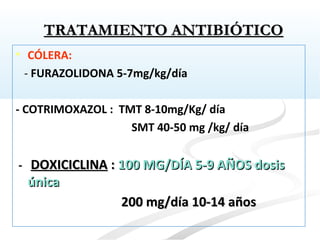 • CÓLERA:
- FURAZOLIDONA 5-7mg/kg/día
- COTRIMOXAZOL : TMT 8-10mg/Kg/ día
SMT 40-50 mg /kg/ día
- DOXICICLINADOXICICLINA :: 100 MG/DÍA 5-9 AÑOS dosis100 MG/DÍA 5-9 AÑOS dosis
únicaúnica
200 mg/día 10-14 años200 mg/día 10-14 años
TRATAMIENTO ANTIBIÓTICOTRATAMIENTO ANTIBIÓTICO
 