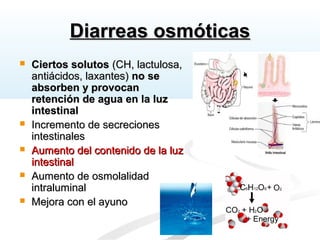 Diarreas osmóticasDiarreas osmóticas
 Ciertos solutosCiertos solutos (CH, lactulosa,(CH, lactulosa,
antiácidos, laxantes)antiácidos, laxantes) no seno se
absorben y provocanabsorben y provocan
retención de agua en la luzretención de agua en la luz
intestinalintestinal
 Incremento de secrecionesIncremento de secreciones
intestinalesintestinales
 Aumento del contenido de la luzAumento del contenido de la luz
intestinalintestinal
 Aumento de osmolalidadAumento de osmolalidad
intraluminalintraluminal
 Mejora con el ayunoMejora con el ayuno
 