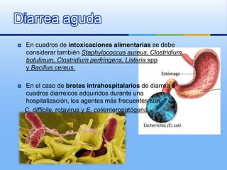Diarrea aguda
 En cuadros de intoxicaciones alimentarias se debe
considerar también Staphylococcus aureus, Clostridium
botulinum, Clostridium perfringens, Listeria spp
y Bacillus cereus.
 En el caso de brotes intrahospitalarios de diarrea o
cuadros diarreicos adquiridos durante una
hospitalización, los agentes más frecuentes son
C. difficile, rotavirus y E. colienteropatógena
 