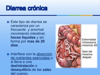  Este tipo de diarrea se
caracteriza por un
frecuente y anormal
movimiento intestinal,
heces líquidas y sin
forma por mas de 20
días.
 Interfiere con la absorción
de nutrientes esenciales o
si lleva a una
deshidratación o
desequilibrio de las sales
del cuerpo.
Diarrea crónica
 