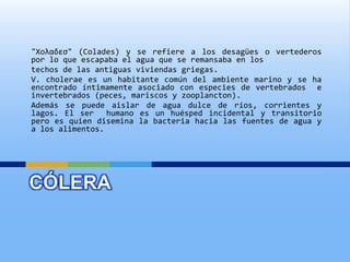 CÓLERA
"Χολαδεσ" (Colades) y se refiere a los desagües o vertederos
por lo que escapaba el agua que se remansaba en los
techos de las antiguas viviendas griegas.
V. cholerae es un habitante común del ambiente marino y se ha
encontrado íntimamente asociado con especies de vertebrados e
invertebrados (peces, mariscos y zooplancton).
Además se puede aislar de agua dulce de ríos, corrientes y
lagos. El ser humano es un huésped incidental y transitorio
pero es quien disemina la bacteria hacia las fuentes de agua y
a los alimentos.
 