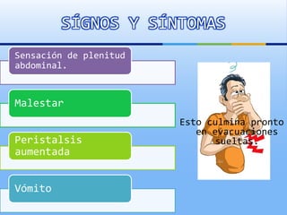 SÍGNOS Y SÍNTOMAS
Esto culmina pronto
en evacuaciones
sueltas.
Sensación de plenitud
abdominal.
Malestar
Peristalsis
aumentada
Vómito
 