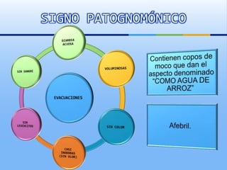 SIGNO PATOGNOMÓNICO
 