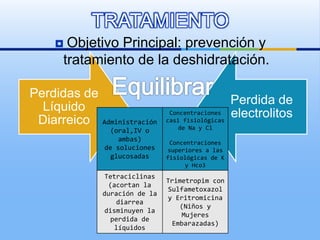 Perdidas de
Líquido
Diarreico
Perdida de
electrolitos
TRATAMIENTO
 Objetivo Principal: prevención y
tratamiento de la deshidratación.
Administración
(oral,IV o
ambas)
de soluciones
glucosadas
Concentraciones
casi fisiológicas
de Na y Cl
Concentraciones
superiores a las
fisiológicas de K
y Hco3
Tetraciclinas
(acortan la
duración de la
diarrea
disminuyen la
perdida de
líquidos
Trimetropim con
Sulfametoxazol
y Eritromicina
(Niños y
Mujeres
Embarazadas)
 