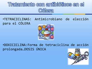 Tratamiento con antibióticos en el
Cólera
•TETRACICLINAS: Antimicrobiano de elección
para el CÓLERA
•DOXICICLINA:Forma de tetraciclina de acción
prolongada…DOSIS ÚNICA
 