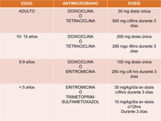EDAD ANTIMICROBIANO DOSIS
ADULTO DOXICICLINA
Ó
TETRACICLINA
30 mg dosis única
500 mg c/6hrs durante 3
días
10- 15 años DOXICICLINA
Ó
TETRACICLINA
200 mg dosis única
250 mgc /6hrs durante 3
días
5-9 años DOXICICLINA
Ó
ERITROMICINA
100 mg dosis única
250 mg c/8 hrs durante 3
días
< 5 años ERITROMICINA
Ó
TRIMETOPRIM-
SULFAMETOXAZOL
30 mg/kg/día en dosis
c/8hrs durante 3 días
10 mg/kg/día en dosis
c/12hrs
Durante 3 días
 