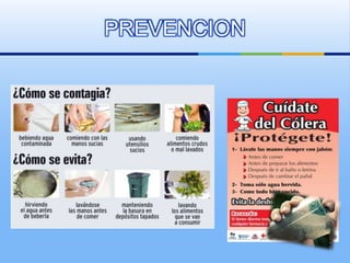 PREVENCION
 