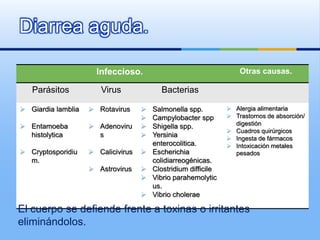 Diarrea aguda.
Infeccioso. Otras causas.
Parásitos Virus Bacterias
 Giardia lamblia
 Entamoeba
histolytica
 Cryptosporidiu
m.
 Rotavirus
 Adenoviru
s
 Calicivirus
 Astrovirus
 Salmonella spp.
 Campylobacter spp
 Shigella spp.
 Yersinia
enterocolitica.
 Escherichia
colidiarreogénicas.
 Clostridium difficile
 Vibrio parahemolytic
us.
 Vibrio cholerae
 Alergia alimentaria
 Trastornos de absorción/
digestión
 Cuadros quirúrgicos
 Ingesta de fármacos
 Intoxicación metales
pesados
El cuerpo se defiende frente a toxinas o irritantes
eliminándolos.
 