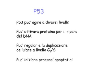 P53 puo’ agire a diversi livelli:
Puo’ attivare proteine per il riparo
del DNA
Puo’ regolar e la duplicazione
cellulare a livello G1/S
Puo’ iniziare processi apoptotici
P53
 