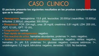 El paciente presenta los siguientes resultados en las pruebas complementarias
que se le realizan:
• Hemograma: hemoglobina: 13,8 g/dl, leucocitos: 20.000/µl (neutrófilos: 15.800/µl,
linfocitos: 2.360/µl), plaquetas: 300.000/µl.
• Bioquímica: PCR: 234 mg/L, urea: 26 mg/dl, creatinina: 0,61 mg/dl, LDH: 205 UI/L,
GOT: 12 UI/L, GPT: 15 UI/L.
• Coagulación: normal.
• Test rápido de estreptococo: negativo.
• Tira reactiva de orina: hematíes abundantes, proteínas 1+, resto: negativo.
• Análisis microscópico del sedimento: leucocitos: negativo, nitritos: negativo,
hematíes: 2+, pH: 5,5, proteínas: 1+, glucosa: negativo, cuerpos cetónicos: 1+,
urobilinógeno: 0,2 mg/dl, bilirrubina: negativo, densidad: 1.020. No bacterias.
 