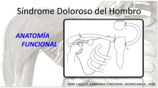 Síndrome Doloroso del Hombro
ANATOMÍA
FUNCIONAL

RENE CAILLIET. ANATOMIA FUNCIONAL, BIOMECANICA. 2008

 