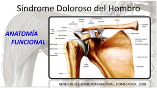 Síndrome Doloroso del Hombro
ANATOMÍA
FUNCIONAL

RENE CAILLIET. ANATOMIA FUNCIONAL, BIOMECANICA. 2008

 