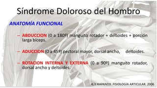 Síndrome Doloroso del Hombro
ANATOMÍA FUNCIONAL
– ABDUCCION (0 a 180º) manguito rotador + deltoides + porción
larga bíceps...