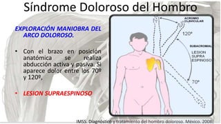 Síndrome Doloroso del Hombro
EXPLORACIÓN MANIOBRA DEL
ARCO DOLOROSO.
• Con el brazo en posición
anatómica
se
realiza
abduc...
