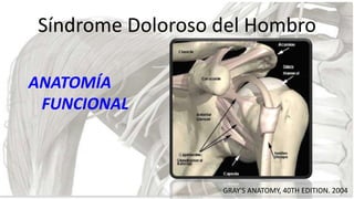 Síndrome Doloroso del Hombro
ANATOMÍA
FUNCIONAL

GRAY'S ANATOMY, 40TH EDITION. 2004

 