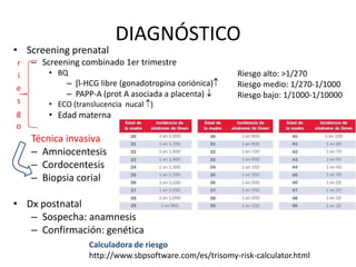 DIAGNÓSTICO
• Screening prenatal
– Screening combinado 1er trimestre
• BQ
– -HCG libre (gonadotropina coriónica)
– PAPP-A (prot A asociada a placenta)
• ECO (translucencia nucal )
• Edad materna
Técnica invasiva
– Amniocentesis
– Cordocentesis
– Biopsia corial
• Dx postnatal
– Sospecha: anamnesis
– Confirmación: genética
r
i
e
s
g
o
Riesgo alto: >1/270
Riesgo medio: 1/270-1/1000
Riesgo bajo: 1/1000-1/10000
Calculadora de riesgo
http://www.sbpsoftware.com/es/trisomy-risk-calculator.html
 