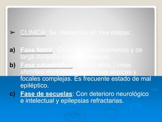 ➢ CLINICA: Se desarrolla en tres etapas:
a) Fase febril: Crisis febriles recurrentes y de
larga duración típicas o atípicas.
b) Fase catastrófica : (8m.-8 años.) crisis
afebriles miolónicas, ausencias atípicas y
focales complejas. Es frecuente estado de mal
epiléptico.
c) Fase de secuelas: Con deterioro neurológico
e intelectual y epilepsias refractarias.
 