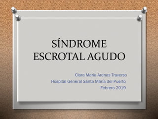 SÍNDROME
ESCROTAL AGUDO
Clara María Arenas Traverso
Hospital General Santa María del Puerto
Febrero 2019
 