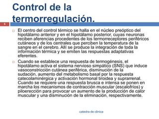 Control de la termorregulación.El centro del control térmico se halla en el núcleo preóptico del hipotálamo anterior y en el hipotálamo posterior, cuyas neuronas reciben aferencias procedentes de los termorreceptoresperiféricos cutáneos y de los centrales que perciben la temperatura de la sangre en el cerebro. Allí se produce la integración de toda la información térmica y se emiten las respuestas adaptativas eferentes.Cuando se establece una respuesta de termogénesis, el hipotálamo activa el sistema nervioso simpático (SNS) que induce vasoconstricción cutánea periférica, disminución de la sudación, aumento del metabolismo basal por la respuesta catecolaminérgicay activación hormonal tiroidea y suprarrenal. Cuando se requiere una respuesta brusca e intensa se ponen en marcha los mecanismos de contracción muscular (escalofríos) y piloerección para provocar un aumento de la producción de calor muscular y una disminución de la eliminación, respectivamente.5catedra de clinica