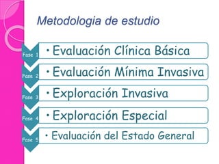 Metodologia de estudio 
Fase 1 • Evaluación Clínica Básica 
Fase 2 • Evaluación Mínima Invasiva 
Fase 3 • Exploración Invasiva 
Fase 4 • Exploración Especial 
Fase 5 • Evaluación del Estado General 
 