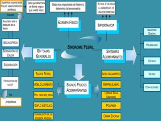 Durante 
Asociado ante o 
después de la 
fiebre 
SENSACIÓN DE 
CALOR 
6 
Dato mas importante de fiebre lo 
determina la termometría 
EXAMEN FÍSICO 
SÍNDROME FEBRIL 
Dato que determina 
de forma segura 
que existió fiebre. 
FACIES FEBRIL 
ADELGAZAMIENTO 
ESCALOFRÍOS 
MALESTAR 
GENERAL 
Superficie corporal está 
fría por vasoconstricción 
periferica 
SÍNTOMAS 
GENERALES 
AYUDA A VALORAR 
LA GRAVEDAD DE 
UNA ENFERMEDAD 
IMPORTANCIA 
SÍNTOMAS 
ACOMPAÑANTES 
SUDORACIÓN 
Por 
Antipiréticos 
POLIMIALGIAS 
CEFALEA 
DELIRIO 
PRODUCCIÓN DE 
SUDOR 
HERPES LABIAL 
CONVULSIONES 
SIGNOS FÍSICOS 
ACOMPAÑANTES 
ADELGAZAMIENTO 
LENGUA SECA 
SABURRAL 
PIEL CALIENTE,SECA 
SOPLO SISTÓLICO 
DISMINUCIÓN DE LA 
PRESIÓN ARTERIA 
POLIPNEA 
ORINA ESCASA 
 