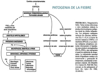 PATOGENIA DE LA FIEBRE 
 