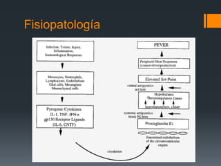 Fisiopatología
 