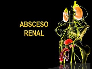 Es un polisacárido usado como vacuna tipo conjugada, es
 decir, unida a proteínas transportadoras, desarrollada para la
    prevención de la enfermedad contagiosa producida por
la bacteria Gram negativa Haemophilus influenzae serotipo b.
 