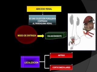 Cada dosis contiene
10 ug de polisacárido
 capsular (PRP) de la
     cepa 20.752
conjugado a 30 ug de
   Toxoide tetánico
  (PRP-T) liofilizado
   en presencia de
       lactosa.
 