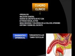 Poliovirus tipo 1, 2 y 3 en una
    proporción, respectivamente



Trazos de neomicina B (7 microgramos)




     Estreptomicina o polimixina



Se presenta en frascos goteros de 10 a
              25 dosis.
 